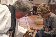 Blessing Of Animals 2018