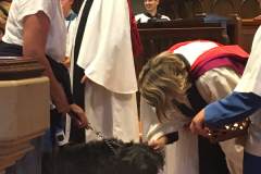 Blessing Of The Animals 2017