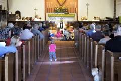 childrens-sermon-stfrancis-day-2017_orig