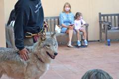 stfrancisday-wolf-oct-2021-10-web_orig