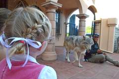 stfrancisday-wolf-oct-2021-15-web_orig