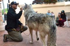 stfrancisday-wolf-oct-2021-46-web_orig