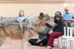 stfrancisday-wolf-oct-2021-52-web_orig