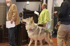 stfrancisday-wolf-oct-2021-64-web_orig